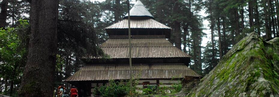Manali Village Cottage, Manali 4